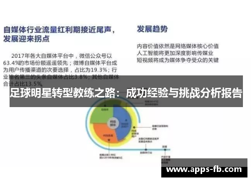 足球明星转型教练之路：成功经验与挑战分析报告