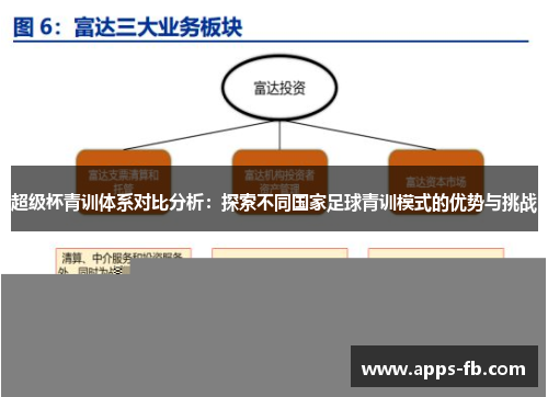 超级杯青训体系对比分析：探索不同国家足球青训模式的优势与挑战