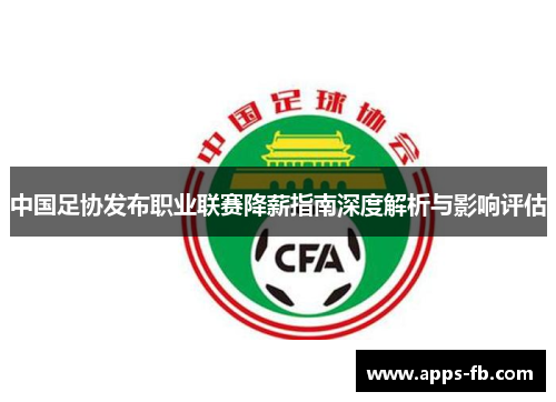 中国足协发布职业联赛降薪指南深度解析与影响评估