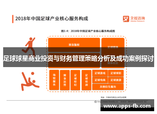 足球球星商业投资与财务管理策略分析及成功案例探讨