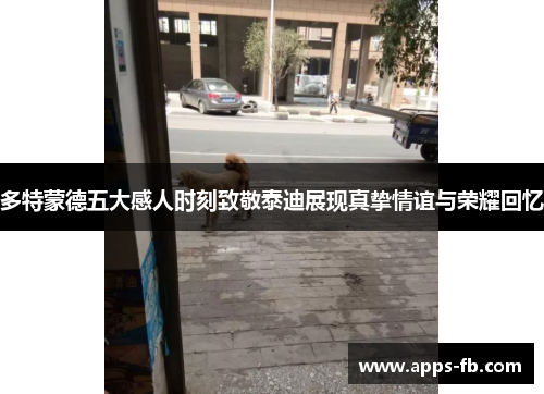多特蒙德五大感人时刻致敬泰迪展现真挚情谊与荣耀回忆