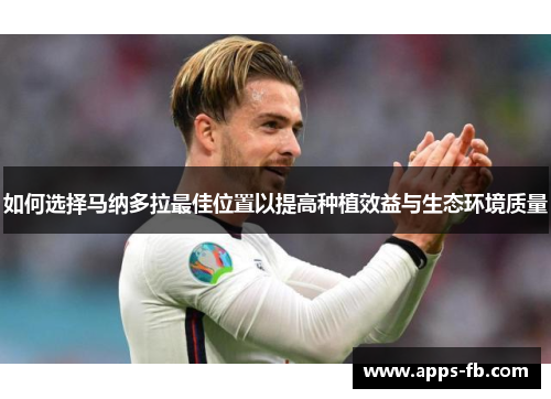 如何选择马纳多拉最佳位置以提高种植效益与生态环境质量